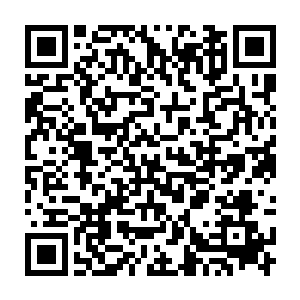 执法者协会的那些长老没想到一个黄毛丫头会将他们的会长打伤成这样二维码生成