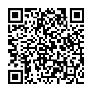 执着到了不顾一切不顾生死的程度纵使她们明知道自己身份低微二维码生成