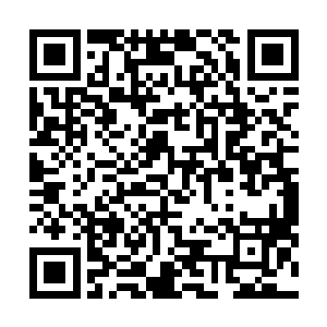 扫描结果会直接同步到我们公司的数据服务器上进行对比二维码生成