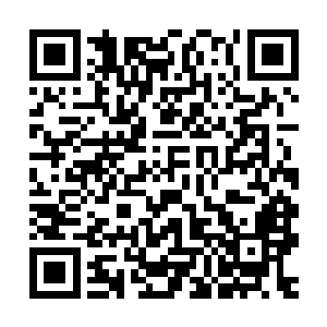 找一个你信得过的普通人每天给你们送些吃的保证你们不会饿死二维码生成