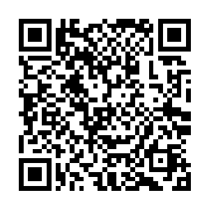 找一个韩国的学生写他们的韩国名字还不是和作弊一样简单二维码生成
