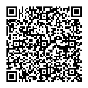 找到了对付他的办法……我想那场比赛最大的意义或许还不仅仅是圣保罗结束了他们的三连胜二维码生成