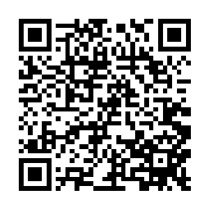 找到后考核便结束了……那是不是就代表他们赢了呢二维码生成