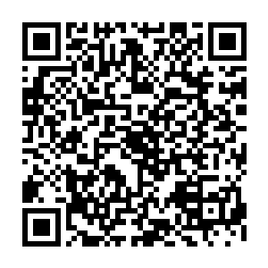 找回玄木令的机会也不是很大……所以剩下的这一块玄木令就更加重要了二维码生成