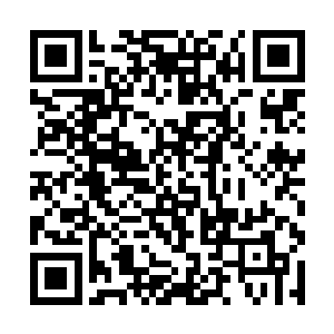 承不承认动手殴打了罗盛导演你如果再这么保持沉默二维码生成