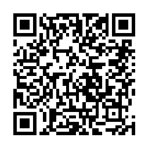 承担过大型工程任务的总工程师与副总工程师有二十四位二维码生成