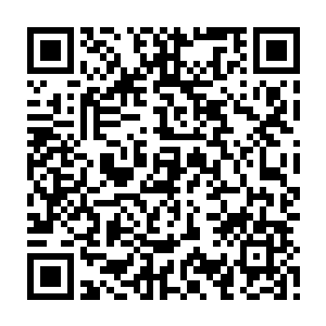 承接和我的一切……会一个个将你们神不知鬼不觉的杀掉……一个都不留二维码生成