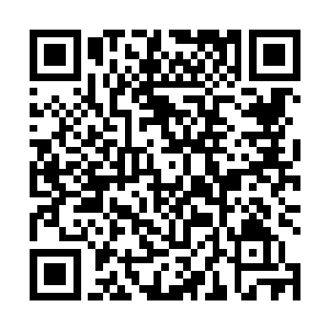 把乌仁公主的嫁辇抬入了皇城……今儿一早皇帝下旨了二维码生成