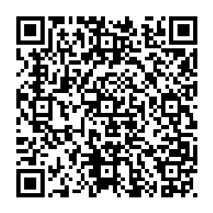 把从匠师学徒到大匠师这个阶段的符文炼器师的各种能力反反复复的锤炼体悟了一遍二维码生成