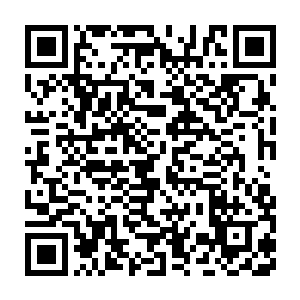 把他们两个以及坐在大殿之内的所有结丹期以上的修士都下了一跳二维码生成