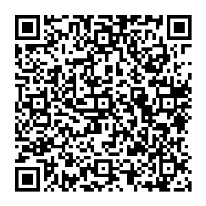 把你的表演水准压制在一个跟整部戏里其他角色其他演员都保持大体在一个水准线上下的范畴内二维码生成