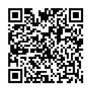 把前几天办结的一个经济诈骗案案卷移交给检察院控申处二维码生成