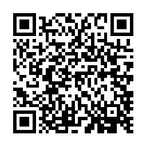 把双峰经济发展的总体思路和情况介绍给省领导的一个机会二维码生成