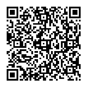 把另一根水萝卜从白琉璃的利齿上往下摘――白琉璃自作主张的趴在书包里仿效神农尝百草二维码生成