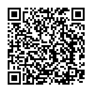 把吴梦溪整理出来那三座小海岛的详细数据讯息和各种海量照片交给林慧宁二维码生成