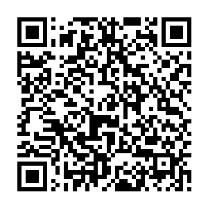 把头一次听到排契合法已经质位法这类逻辑术语的王甲第听得一愣一愣的二维码生成