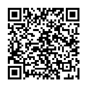 把我们家冰绫这颗珍珠从财政局这沙堆里给刨了出来二维码生成