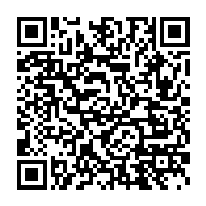 把手里的那条如蚯蚓般粗细的青色袖珍小蛇放在了老鼠的鼻孔前面二维码生成