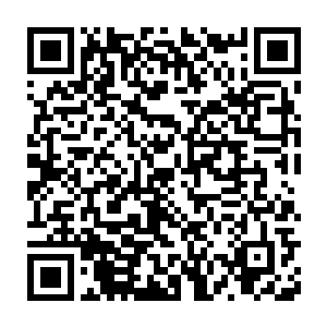 把昏迷不醒的杨昆给提出来了……然后又去杨新月那里询问了一下二维码生成