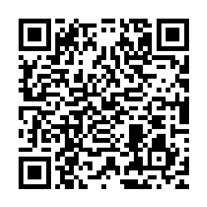 把美丽的澹台明月弄得不得不躲回自己的小窝里去闭门修养了二维码生成