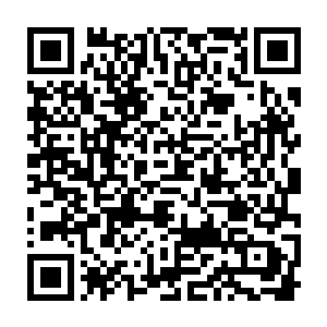 把自己刚刚投掷出去的那些重型标枪一根根的从那些被他钉死的尸体上扒下来二维码生成