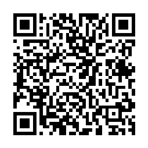 把自己的战力限定在和刘星他们差不多的一个九级战士的水准二维码生成