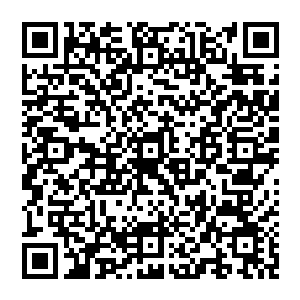 把自然界和宇宙的一切都视为可以随意被掠夺破坏的资源和物品而不是自己赖以生存的家园和伙伴二维码生成