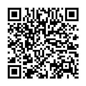 把设置在展架上的那三百块翡翠原石大概的全都看了一遍二维码生成