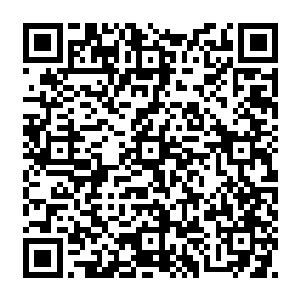 把这个方案跟负责这个项目的张瑞副市长还有其他几位项目成员进行了一番交流探讨二维码生成