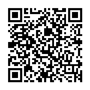 把陈长生的这数百道剑与那个无法确认方位的敌人拦在了外面二维码生成