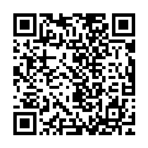 抓了中控台的墨镜戴上故意放慢点速度沿着校园路上过去……二维码生成