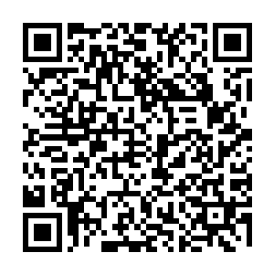 投奔紫幽派的只有散修中的一部分出窍境修士和极少数袋中阔绰的化丹境散修二维码生成