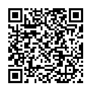 投射在他面前的信息流就像是一片片支离破碎的漩涡二维码生成