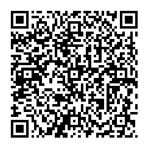 抢在最后一班车之前为单位部门职工们谋到一套住房已经成为各个单位一把手和班子的最热切的希望二维码生成