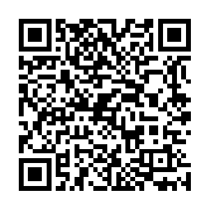 护卫们边走边坦然说着主子今天的活动计划和各种生活习惯二维码生成