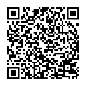抬头看到昨日挨了吕钱塘一脚踹的赵姓纨绔与一帮狐朋狗友站在黄龙大船三楼二维码生成
