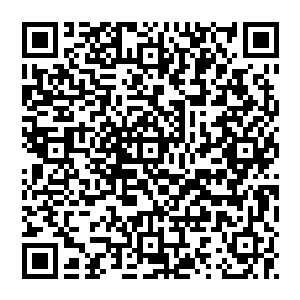 抬头看着苍穹 万里无云 在其中 好似还有着数之不清的秘密 等着他去探索 一时之间 心里忽然有些感慨二维码生成