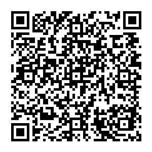 抬手之下心念顿时调动了胸膛的凤凰印记积蓄很长一段的炎脉之力在透过印记由他掌心幻化之时二维码生成
