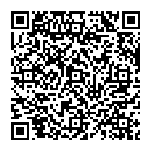 抬手挥舞 判官笔在虚空游走 但每游走一次 都会有光芒出现 顷刻间 洞府内便摇曳着各种光辉二维码生成