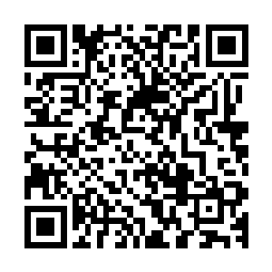 抬腿踢开一个乘他不备准备张嘴咬向他的一名受伤的白家弟子二维码生成