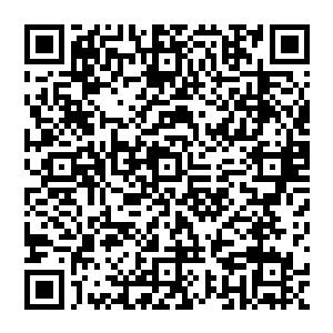 抱着一只和她一样高的巨型公仔回到十六号灯塔员工在有界区的临时住所――有界五星度假酒店二维码生成