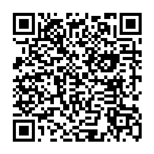 抽了多少巴掌也就是秦方挨了多少鞭子的……而秦方之所以肯白白的挨鞭子二维码生成