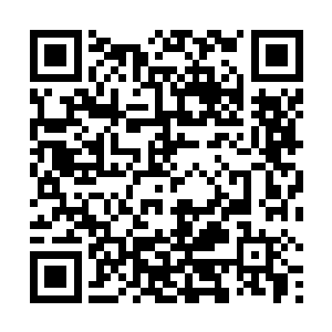 抽抽噎噎的把南南如何如何抓着他们的手臂一路拖过来二维码生成