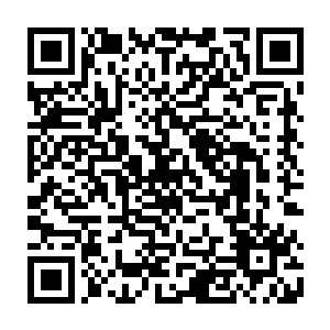 抿了抿干瘪的嘴唇将手中的设计图丢到了破旧的木桌上那成堆的卷轴之间二维码生成