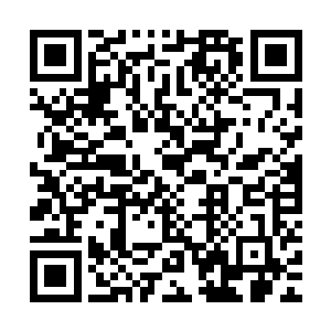 担任校长的各位地精工作学的自爆大师和侏儒工程学的作死高手二维码生成