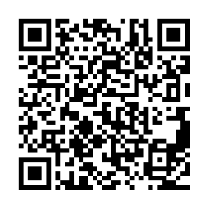 拉达曼迪斯身上由那特殊金羊毛编制而成的战衣实在是太可怕二维码生成