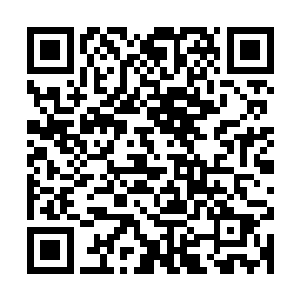 拉达穿着一件碎花真丝衬衫和一条粉色的筒裙出现在服装间门口二维码生成