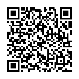 拒绝了两位贵族邀约一起在最尊贵的位置看油行的邀请二维码生成