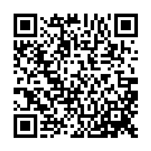 拖进水里没有几分钟又冲上海滩来我们这是在做无用功啊二维码生成