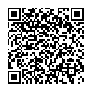 招讨使凌守敬和紫极剑宗女剑修凌兰因都出来和巫蛮修士们照过面二维码生成